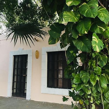 Hostal Y Camping Villa Mercedes 蒂西明 外观 照片