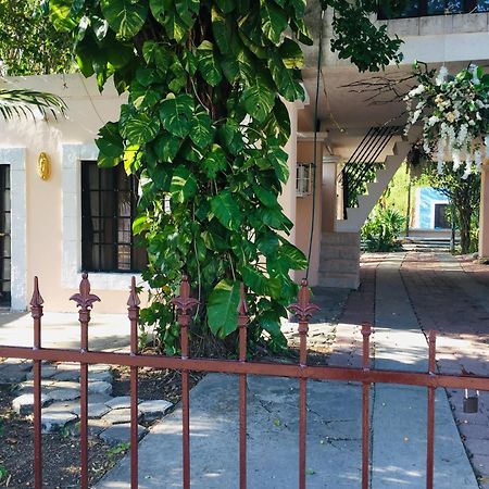 Hostal Y Camping Villa Mercedes 蒂西明 外观 照片