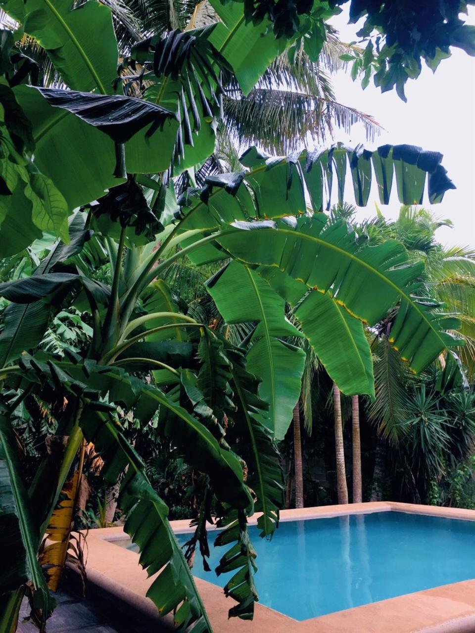Hostal Y Camping Villa Mercedes 蒂西明 外观 照片
