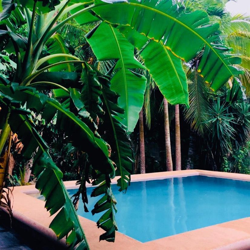 Hostal Y Camping Villa Mercedes 蒂西明 外观 照片