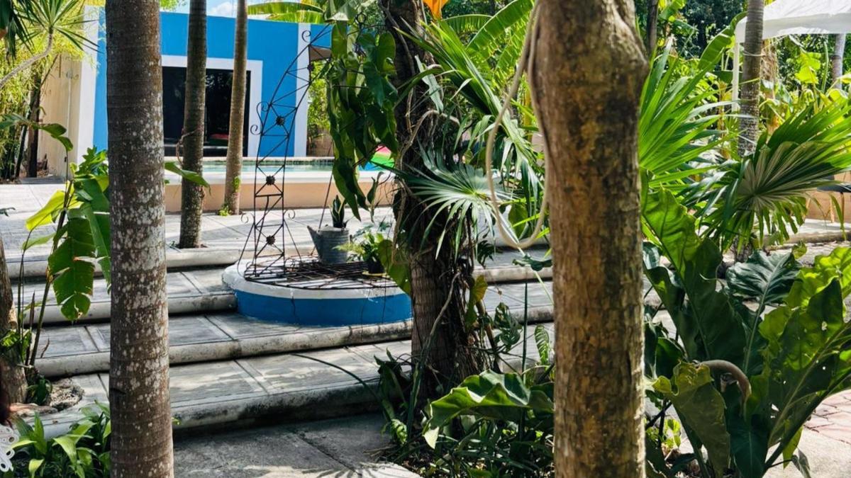 Hostal Y Camping Villa Mercedes 蒂西明 外观 照片