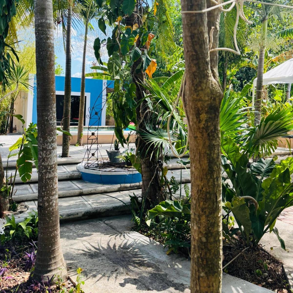 Hostal Y Camping Villa Mercedes 蒂西明 外观 照片